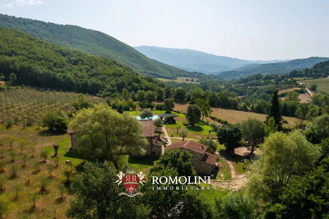 Estate in Bibbiena, Tuscany, Italy 4 - 19030013