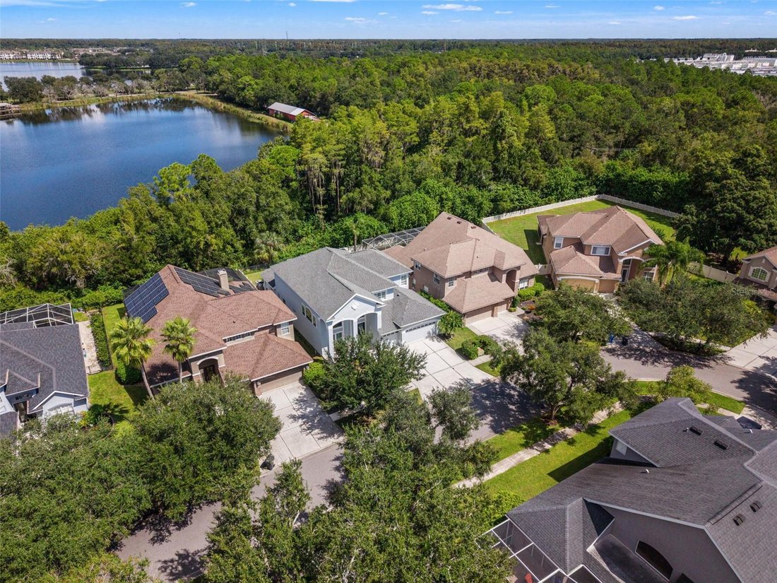 House in Tampa, Florida, United States 2 - 19020456