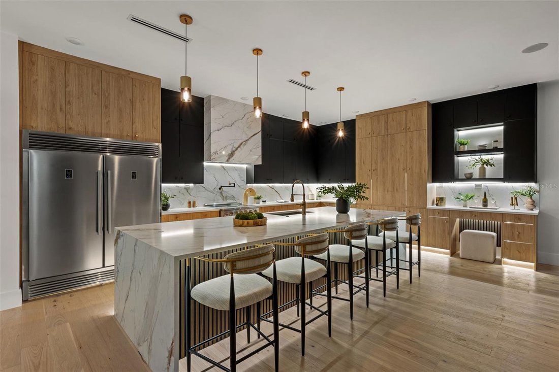 House in Tampa, Florida, United States 3 - 19024041
