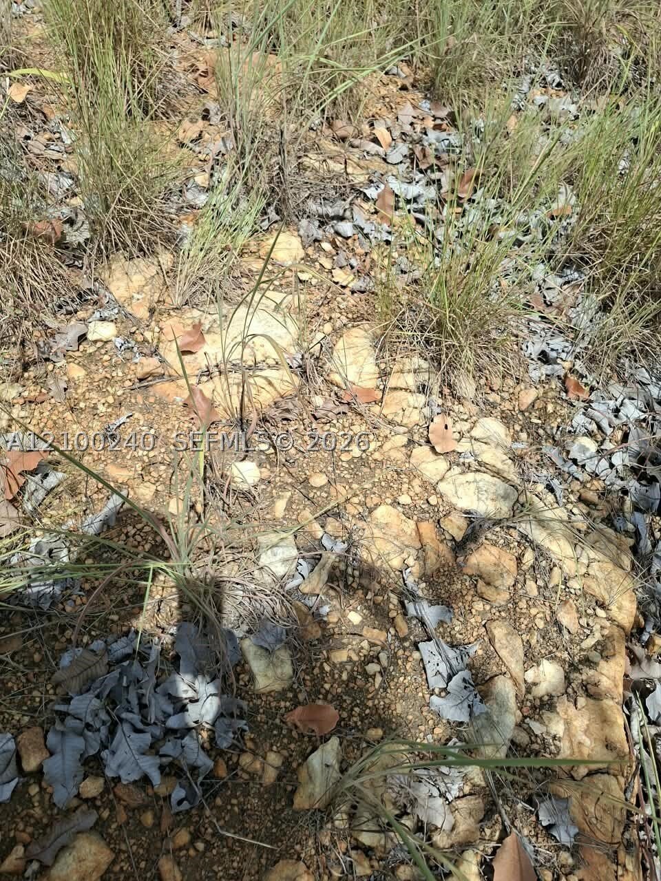 Land in South Brooksville, Florida, United States 5 - 19032519