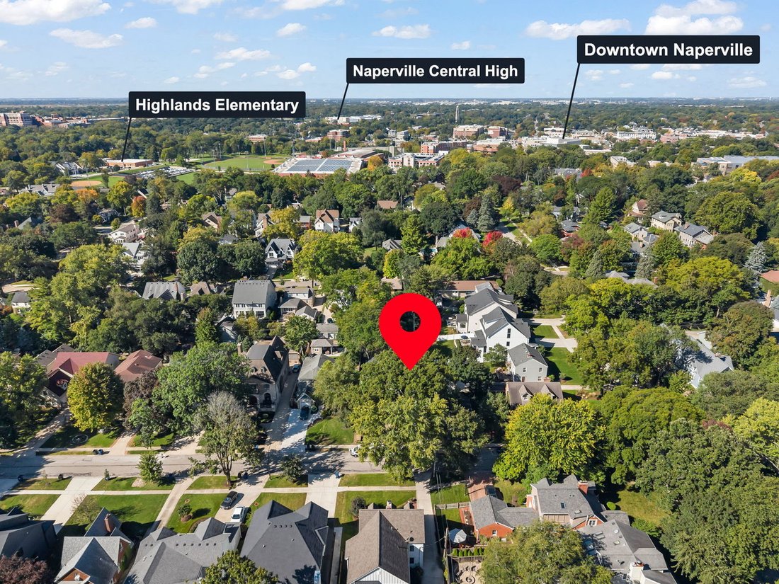 House in Naperville, Illinois, United States 1 - 19028066