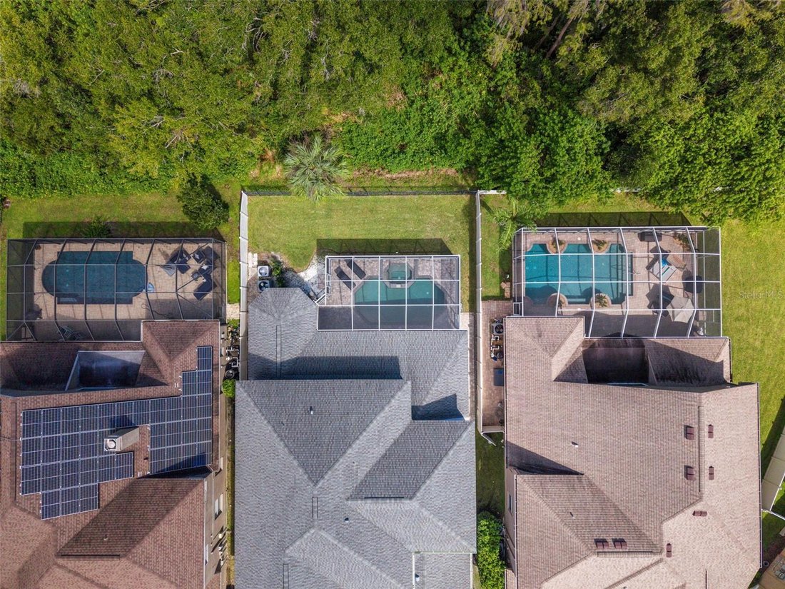 House in Tampa, Florida, United States 3 - 19020456