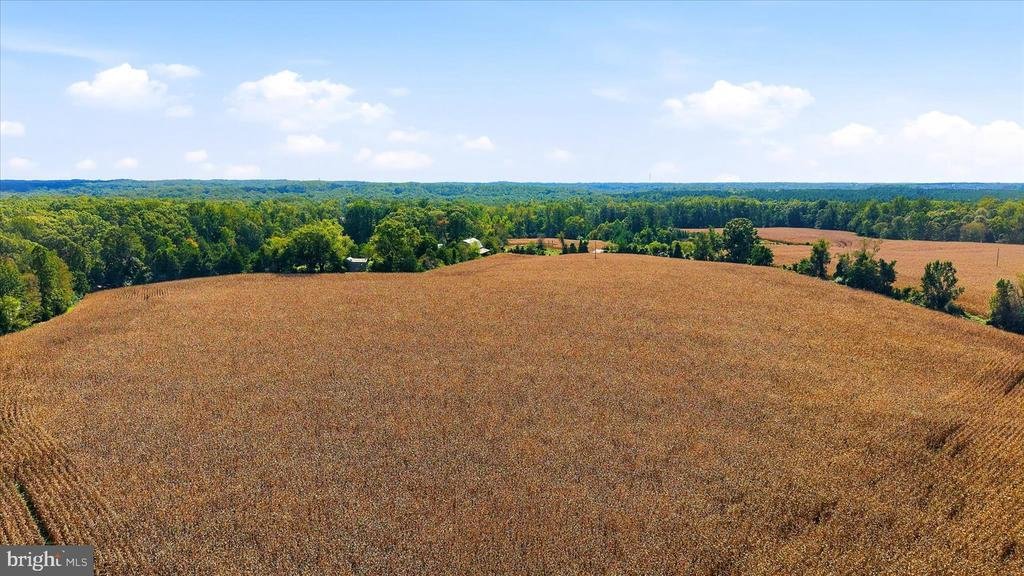Terreno en Fredericksburg, Virginia, Estados Unidos 4 - 19021133