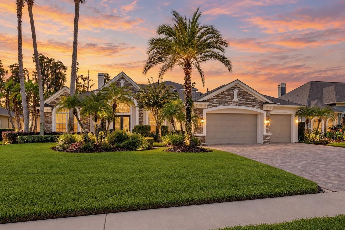 House in Land O' Lakes, Florida, United States 1 - 19023385
