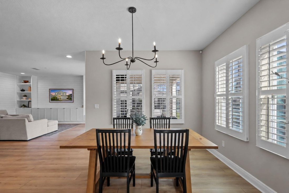 House in Land O' Lakes, Florida, United States 4 - 19023864