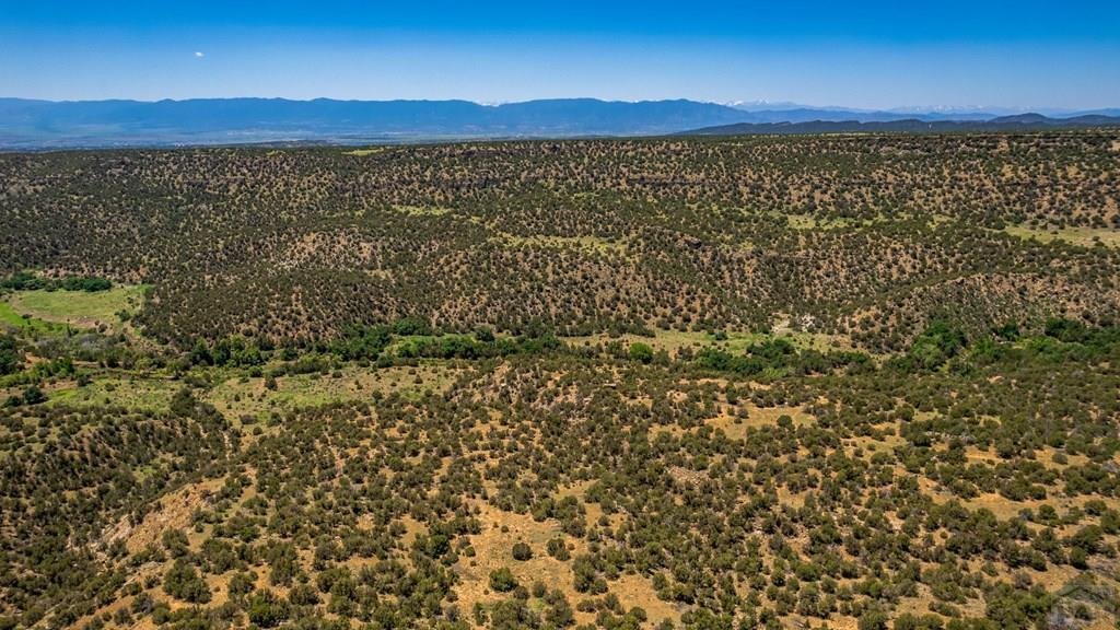 Farm Ranch in Colorado Springs, Colorado, United States 5 - 19021120