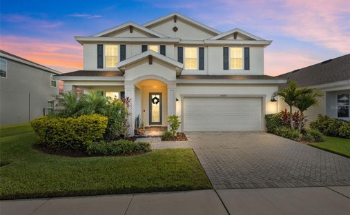 Casa en Land O' Lakes, Florida, Estados Unidos 1