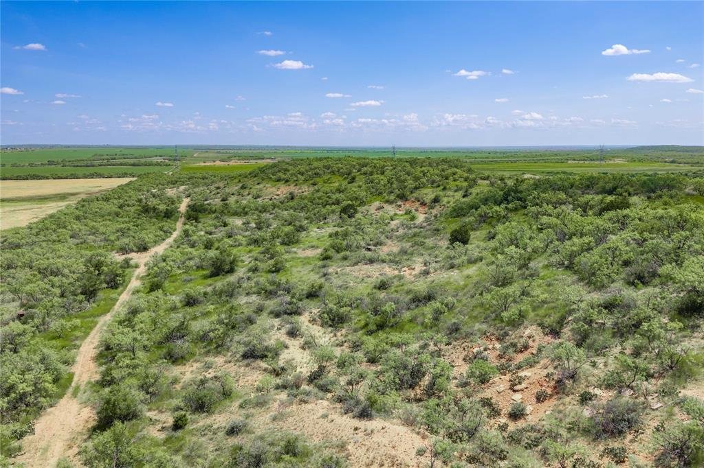 Farm Ranch in Coleman, Texas, United States 4 - 19024551