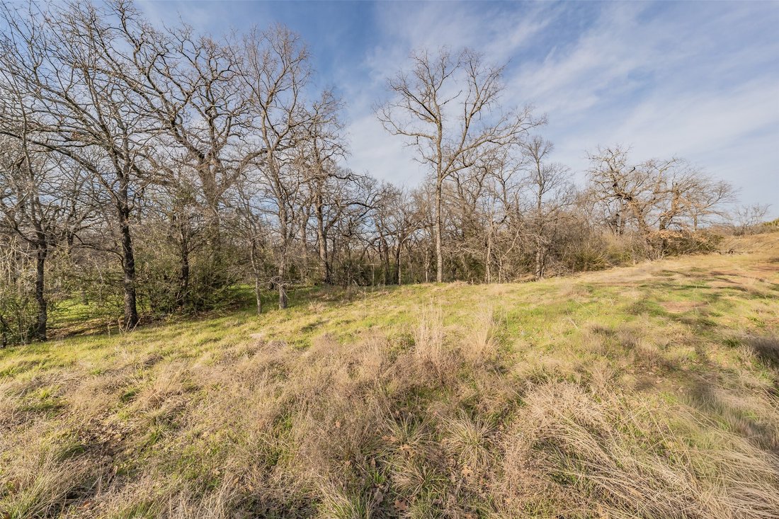 Land in Arlington, Texas, United States 5 - 19021187