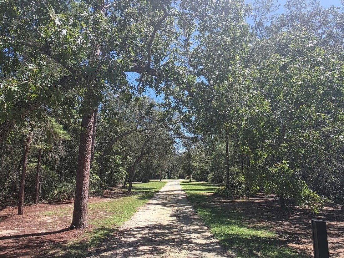 Casa a Silver Springs, Florida, Stati Uniti 3 - 19023878
