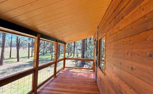 Haus in Alpine, Arizona, Vereinigte Staaten 1