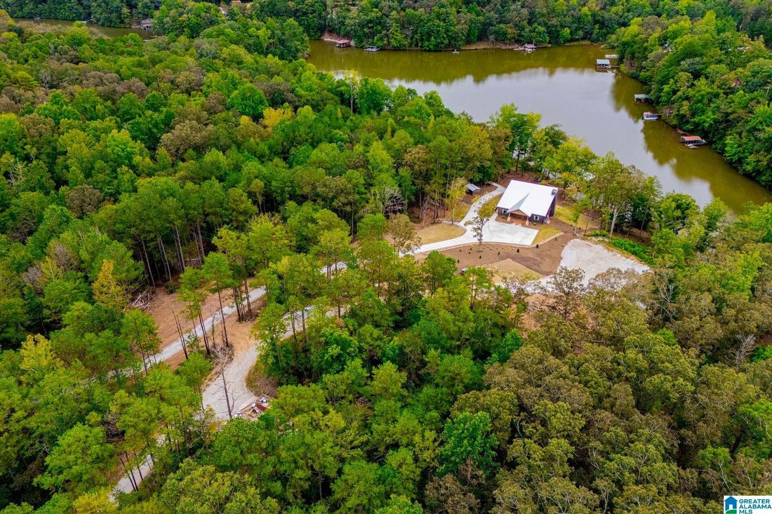 House in Delta, Alabama, United States 2 - 19020575