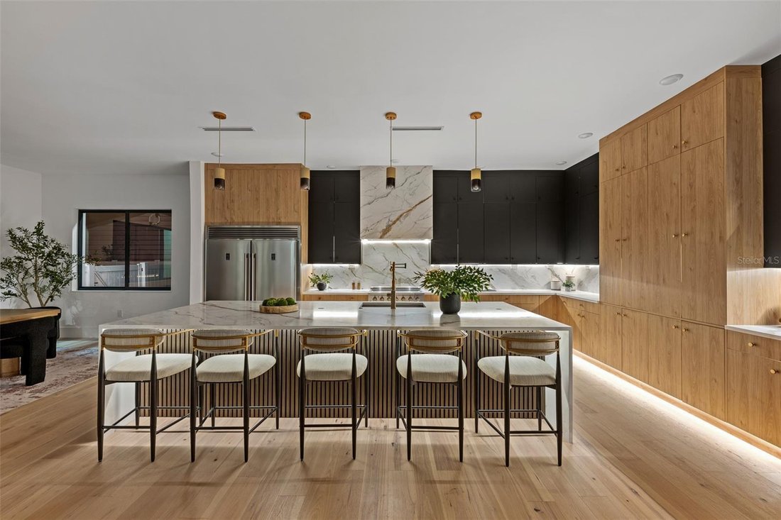 House in Tampa, Florida, United States 2 - 19024041