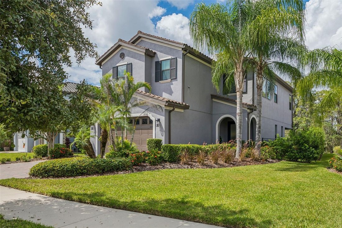 House in Land O' Lakes, Florida, United States 2 - 19023439