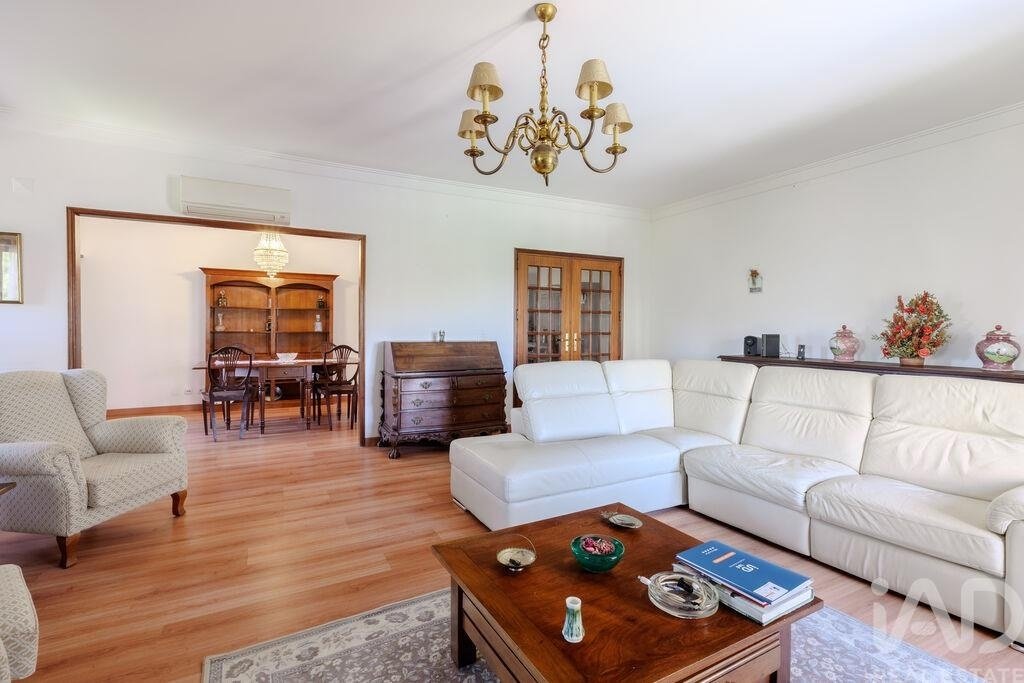 Apartment in Areeiro, Lisbon, Portugal 5 - 19028502