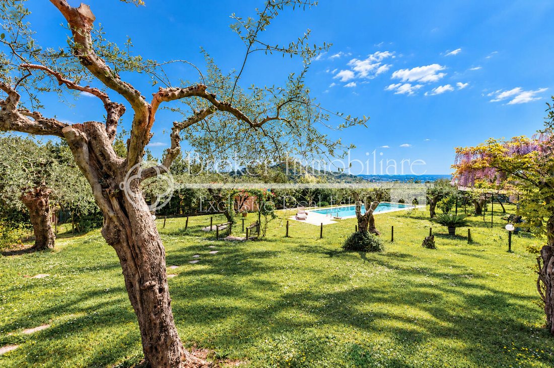 Villa a Massarosa, Toscana, Italia 4 - 11474451