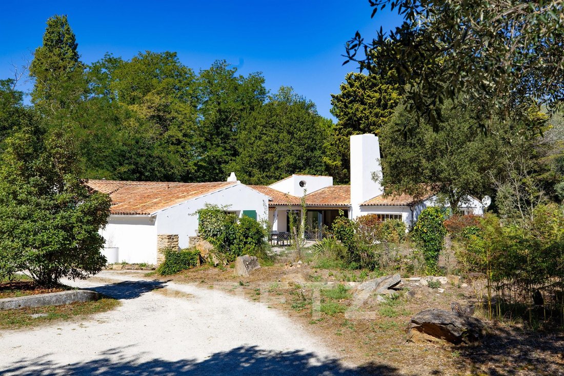 Casa en Les Portes-en-Ré, Nueva Aquitania, Francia 3 - 19032934
