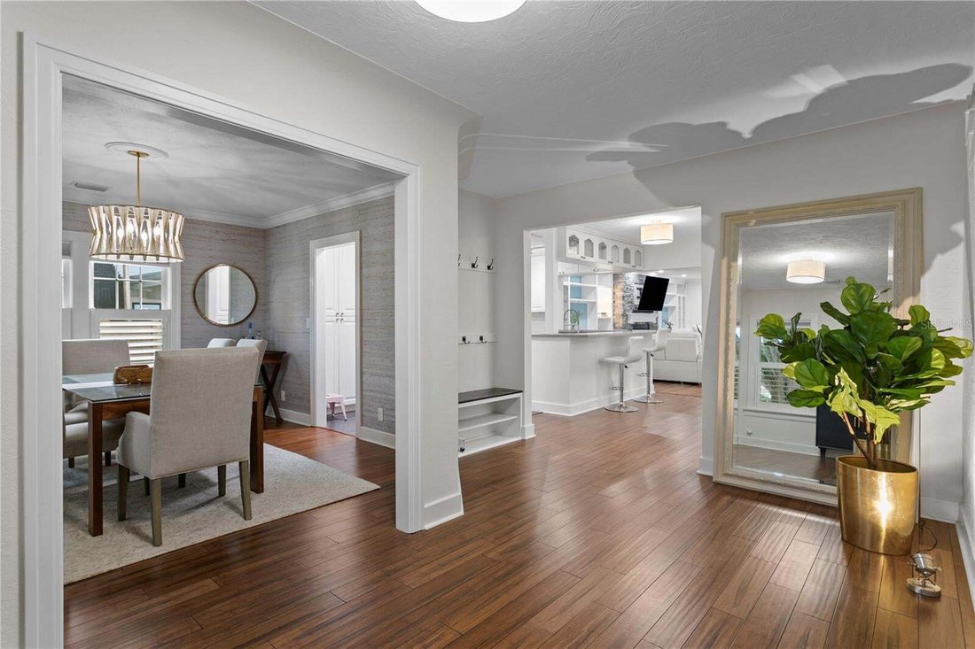 House in St. Petersburg, Florida, United States 3 - 19023444