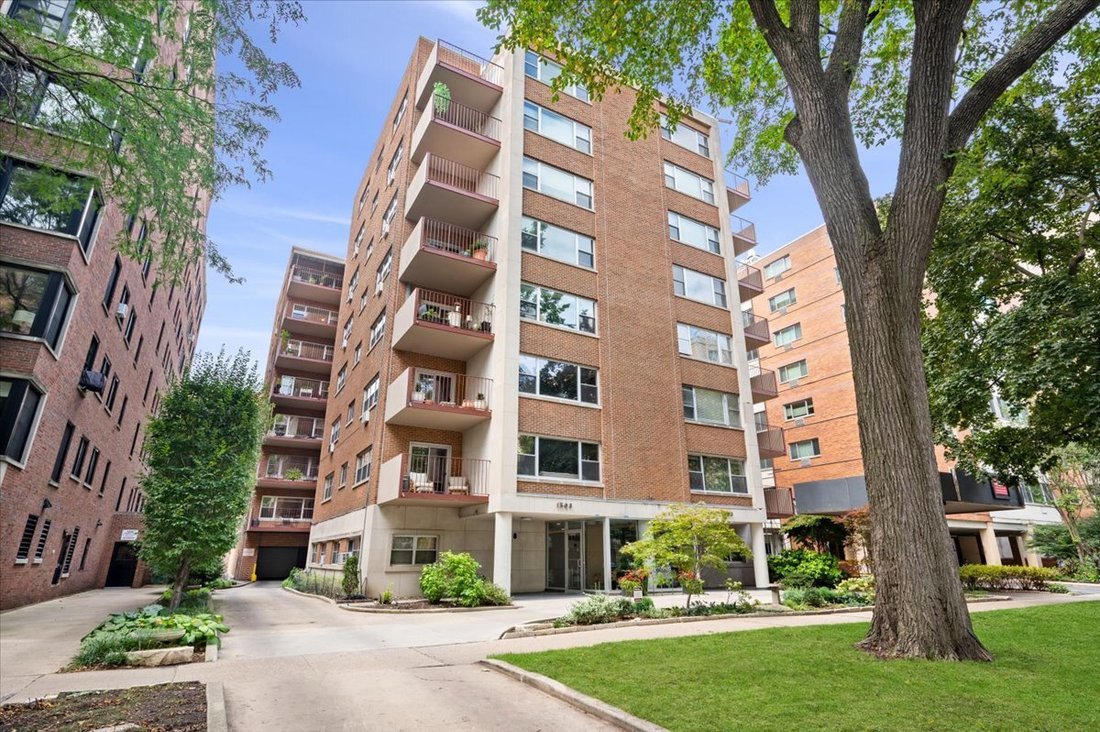 Co Op in Evanston, Illinois, United States 1 - 19028084