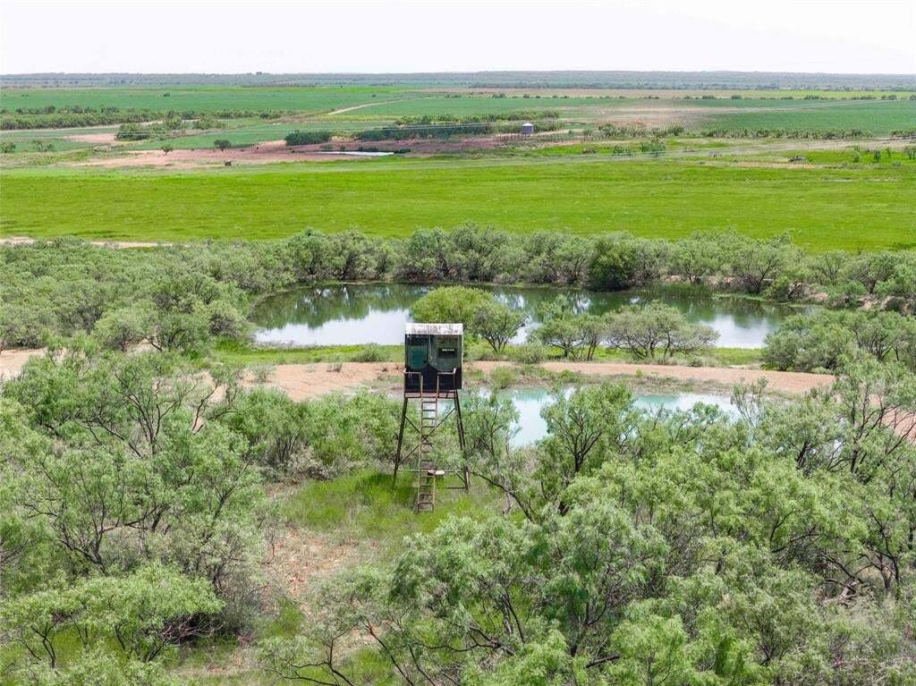 Farm Ranch in Coleman, Texas, United States 5 - 19024551