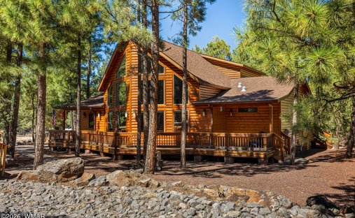 Pinetop-Lakeside, Arizona, United States 1