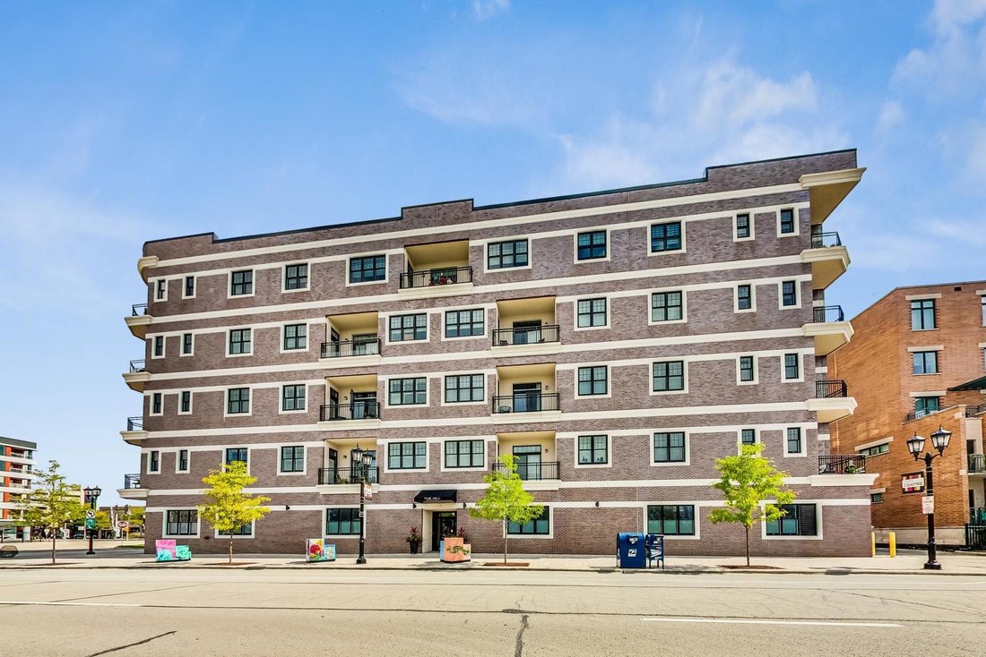 Condo in Elmhurst, Illinois, United States 1 - 19028045