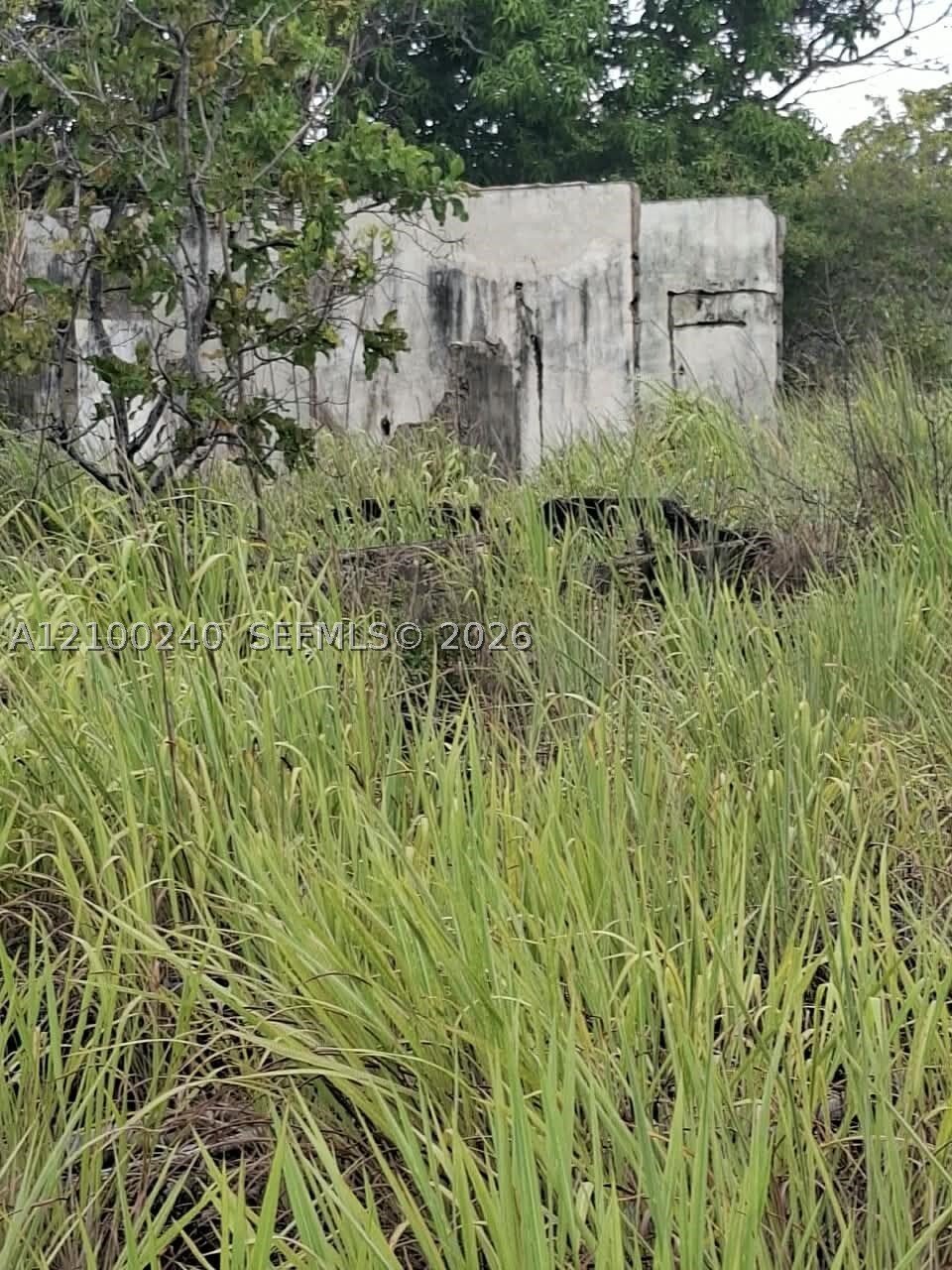 Land in South Brooksville, Florida, United States 2 - 19032519