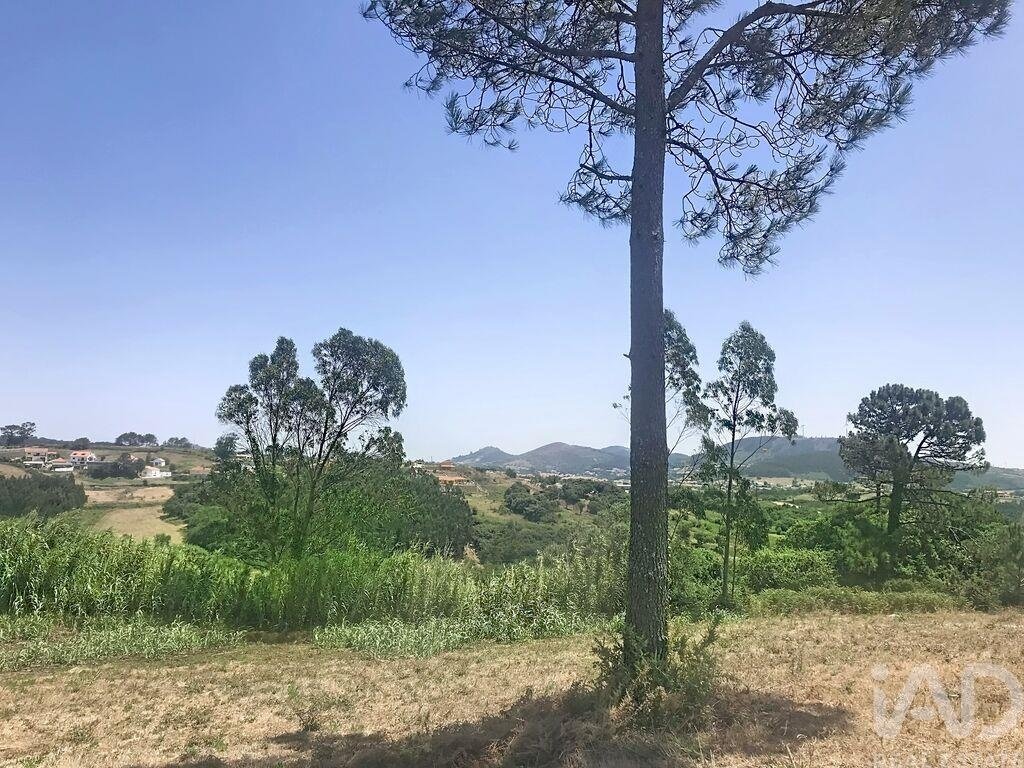 Terreno a Mafra, Lisbona, Portogallo 4 - 18666852