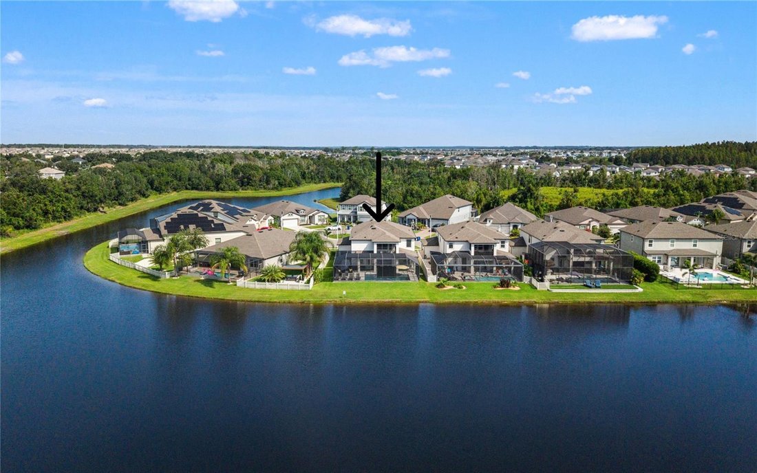House in Wesley Chapel, Florida, United States 4 - 19023456