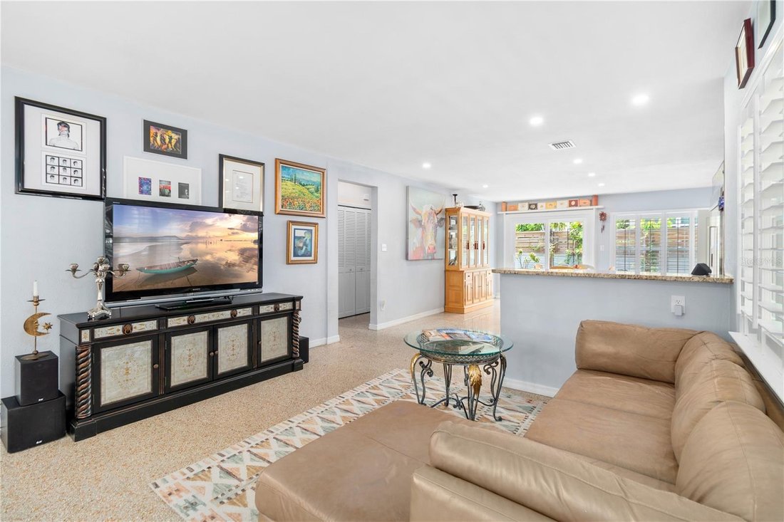 House in Tampa, Florida, United States 5 - 19030967