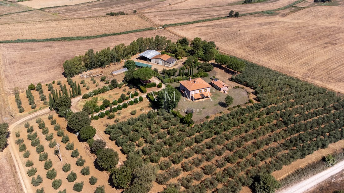 Estate in Magliano in Toscana, Tuscany, Italy 4 - 19020656