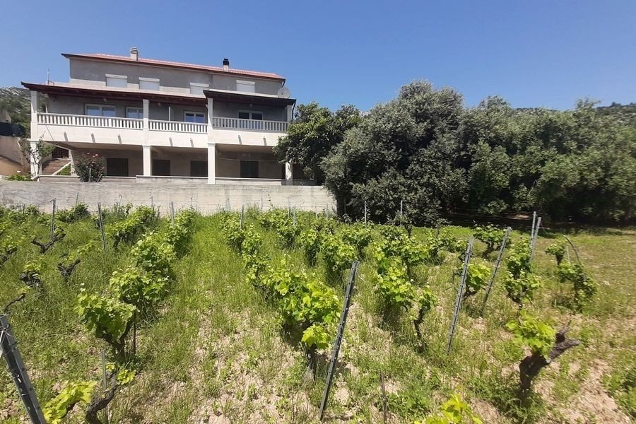 Split-Dalmatia County, Croatia 2 - 19024408