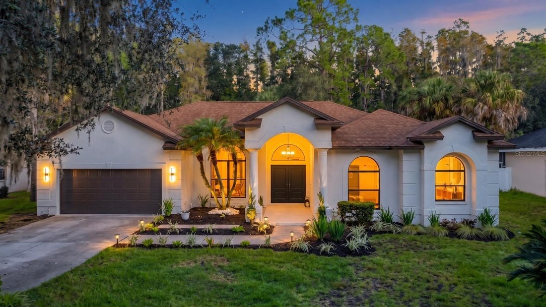 House in Tampa, Florida, United States 1 - 19023447