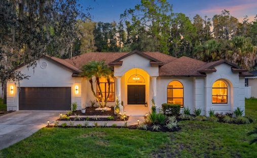 House in Tampa, Florida, United States 1