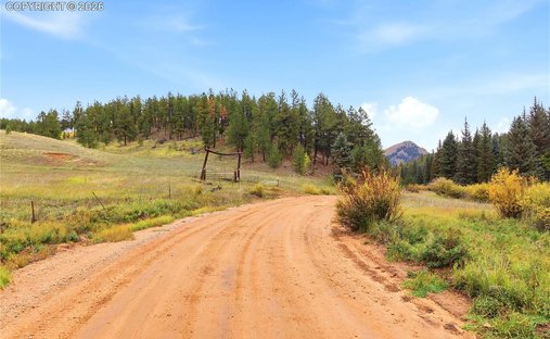 Land in Lake George, Colorado, United States 1