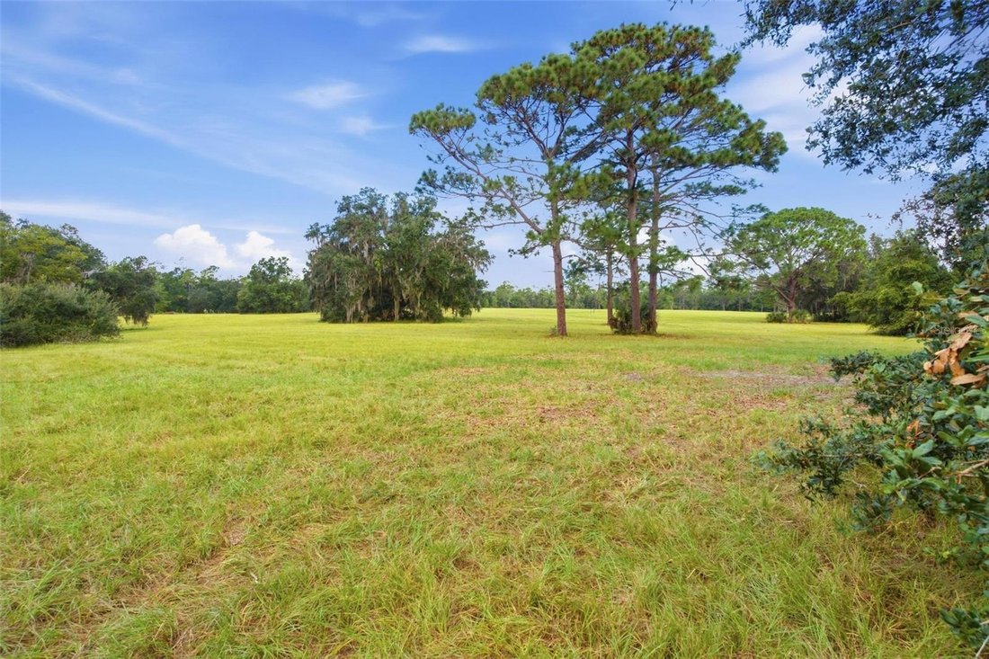 House in Altoona, Florida, United States 5 - 19023438