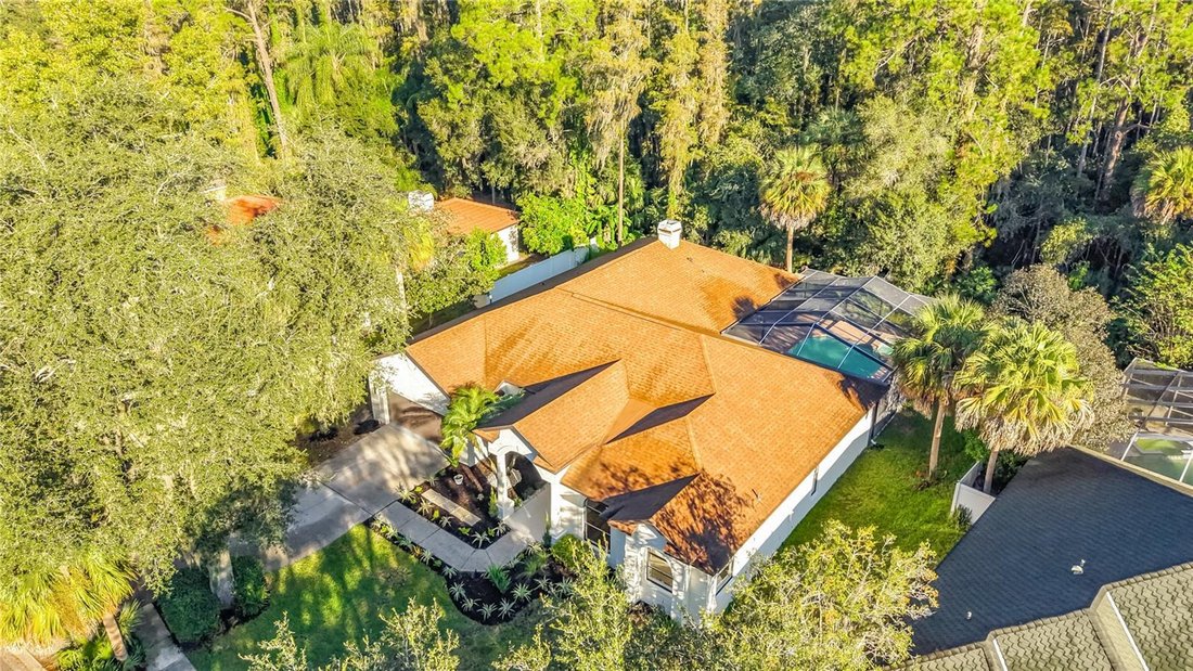 House in Tampa, Florida, United States 5 - 19023447