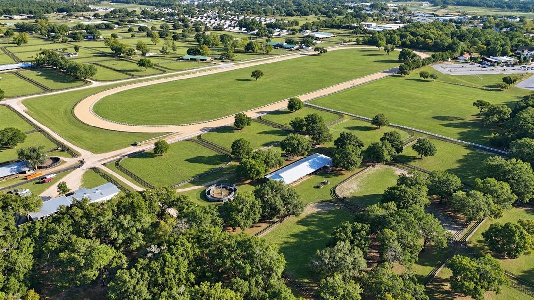 Farm Ranch in Ocala, Florida, United States 1 - 17180604