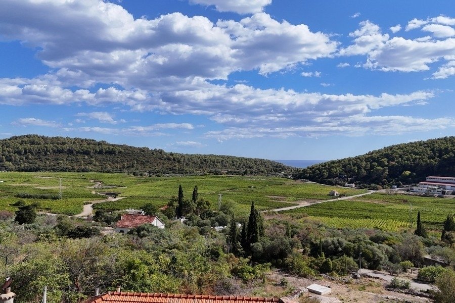 Maisons de campagne à Čara, Comitat de Dubrovnik-Neretva, Croatie 3 - 19024616