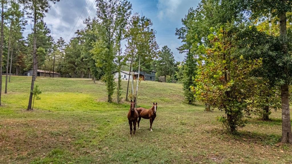 House in Rusk, Texas, United States 2 - 19024630