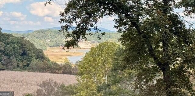 House in Blairsville, Georgia, United States 4 - 19021180