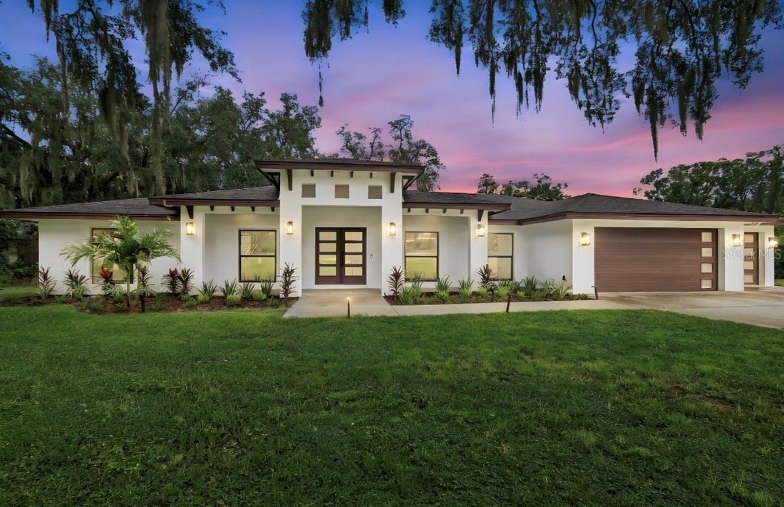 House in Odessa, Florida, United States 1 - 19023386