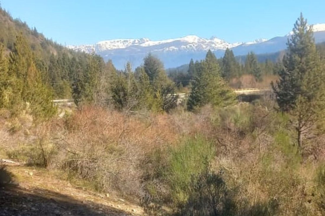 Land in Buta Ranquil, Neuquen, Argentina 1 - 19022332