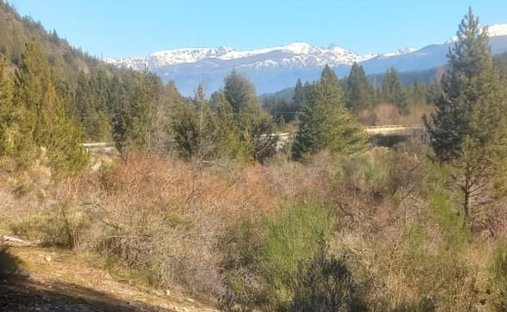Land in Buta Ranquil, Neuquen, Argentina 1