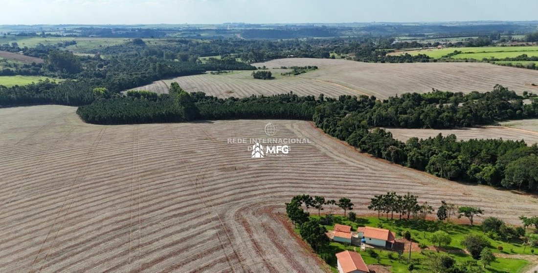 Farm Ranch in Ronco, State of Paraná, Brazil 2 - 19033015