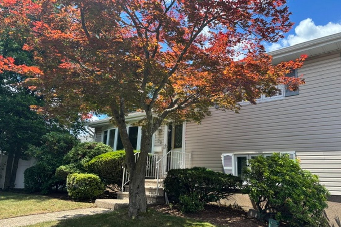 Otros en Dumont, Nueva Jersey, Estados Unidos 2 - 19027436