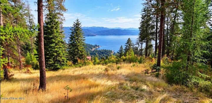 Land in Worley, Idaho, United States 1 - 19031901