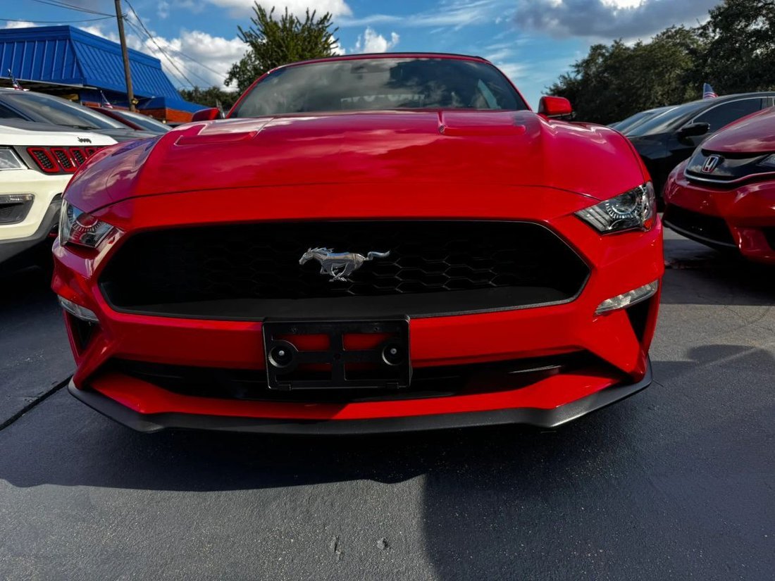 Cabriolet in Houston, TX, United States 3 - 19025778