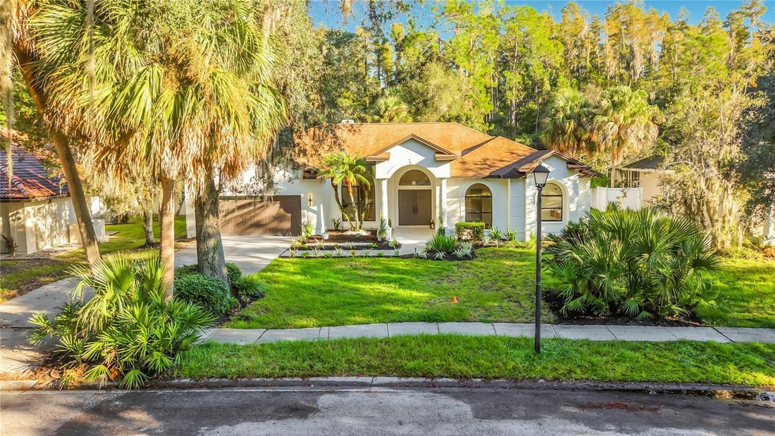 House in Tampa, Florida, United States 2 - 19023447