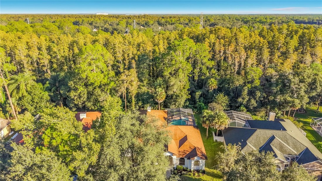 House in Tampa, Florida, United States 4 - 19023447